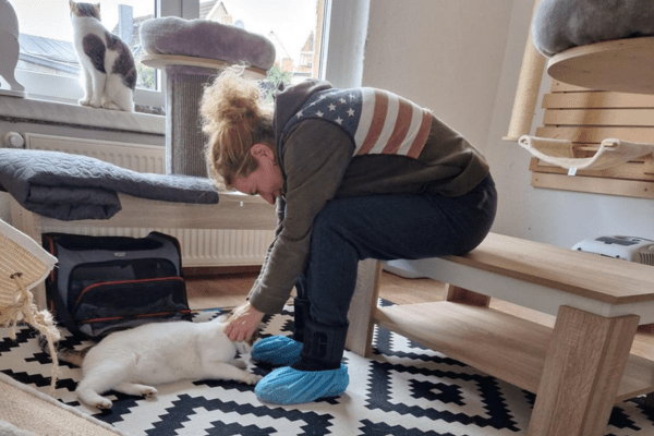 Katzenpension in Perleberg - Brandenburg