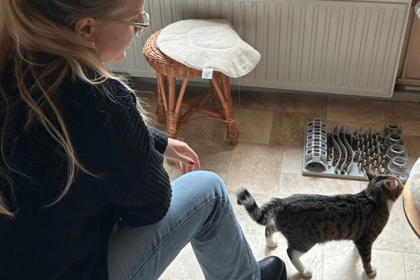 Katzenpension in Perleberg - Brandenburg